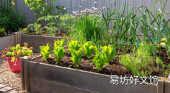 在院子里重复使用旧砖的最佳方法