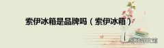 索伊冰箱 索伊冰箱是品牌吗