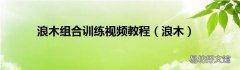 浪木 浪木组合训练视频教程