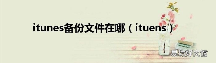 ituens itunes备份文件在哪