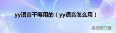 yy语音怎么用 yy语音干嘛用的