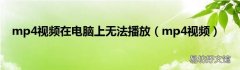 mp4视频 mp4视频在电脑上无法播放