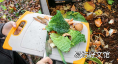 五种最懒的堆肥方法