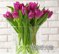 将便士和伏特加放入花瓶中