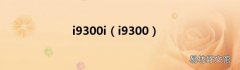 i9300 i9300i