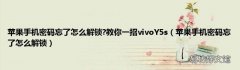 苹果手机密码忘了怎么解锁 苹果手机密码忘了怎么解锁?教你一招vivoY5s
