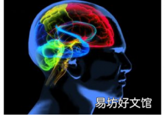 新一代人工智能模型有助于解释人类记忆和想象力