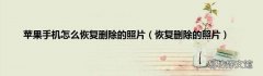 恢复删除的照片 苹果手机怎么恢复删除的照片