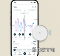Lingo Biosensor向我展示了我的身体对食物压力和睡眠的反应
