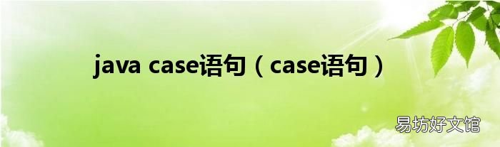 case语句 java case语句