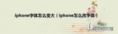 iphone怎么改字体 iphone字体怎么变大