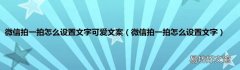 微信拍一拍怎么设置文字 微信拍一拍怎么设置文字可爱文案