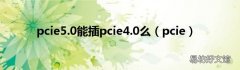 pcie pcie5.0能插pcie4.0么