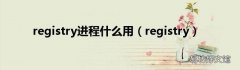 registry registry进程什么用