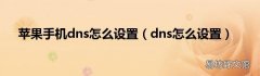 dns怎么设置 苹果手机dns怎么设置