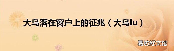 大鸟lu 大鸟落在窗户上的征兆