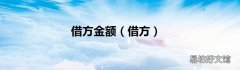 借方 借方金额