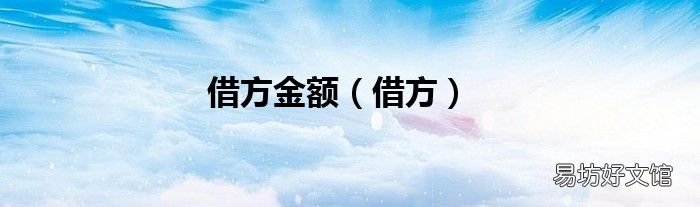借方 借方金额