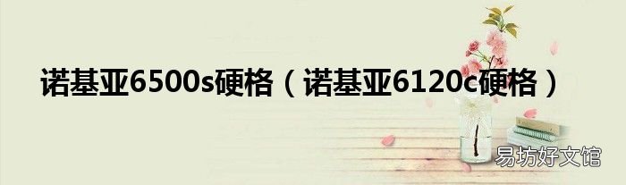诺基亚6120c硬格 诺基亚6500s硬格