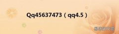 qq4.5 Qq45637473