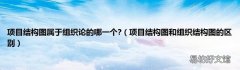 项目结构图和组织结构图的区别 项目结构图属于组织论的哪一个?