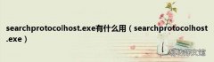 searchprotocolhost.exe searchprotocolhost.exe有什么用