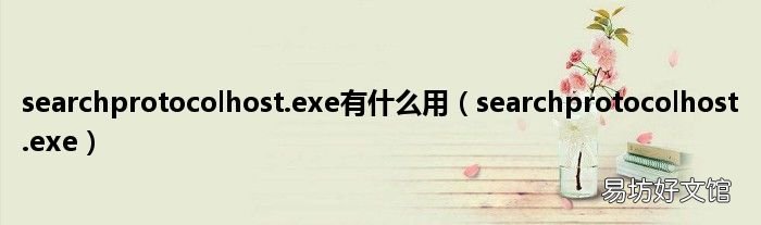 searchprotocolhost.exe searchprotocolhost.exe有什么用