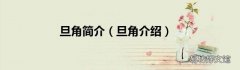 旦角介绍 旦角简介