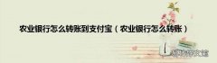 农业银行怎么转账 农业银行怎么转账到支付宝