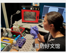 新研究揭示视觉在塑造大脑发育中的关键作用