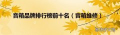 音箱维修 音箱品牌排行榜前十名