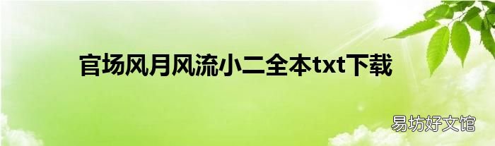 官场风月风流小二全本txt下载
