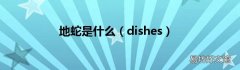 dishes 地蛇是什么