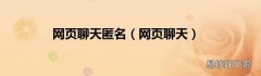 网页聊天 网页聊天匿名