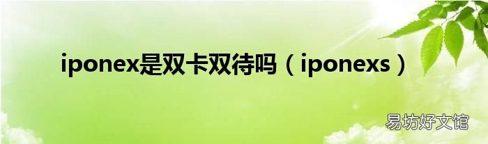 iponexs iponex是双卡双待吗