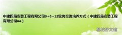 中建四局安装工程有限公司oa 中建四局安装工程有限公司3+6+12轮岗交流培养方式