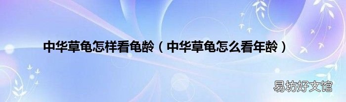 中华草龟怎么看年龄 中华草龟怎样看龟龄