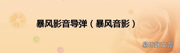 暴风音影 暴风影音导弹