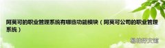 阿莫可公司的职业管理系统 阿莫可的职业管理系统有哪些功能模块