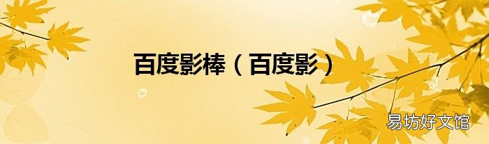 百度影 百度影棒