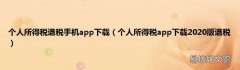 个人所得税app下载2020版退税 个人所得税退税手机app下载