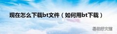 如何用bt下载 现在怎么下载bt文件