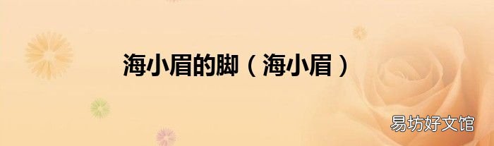 海小眉 海小眉的脚