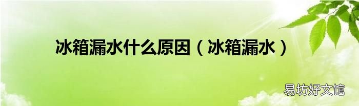 冰箱漏水 冰箱漏水什么原因