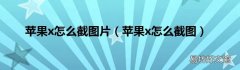 苹果x怎么截图 苹果x怎么截图片