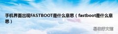 fastboot是什么意思 手机界面出现FASTBOOT是什么意思