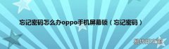 忘记密码 忘记密码怎么办oppo手机屏幕锁