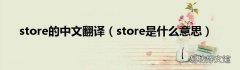 store是什么意思 store的中文翻译