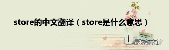 store是什么意思 store的中文翻译