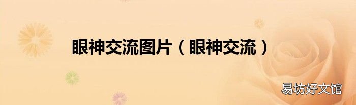 眼神交流 眼神交流图片